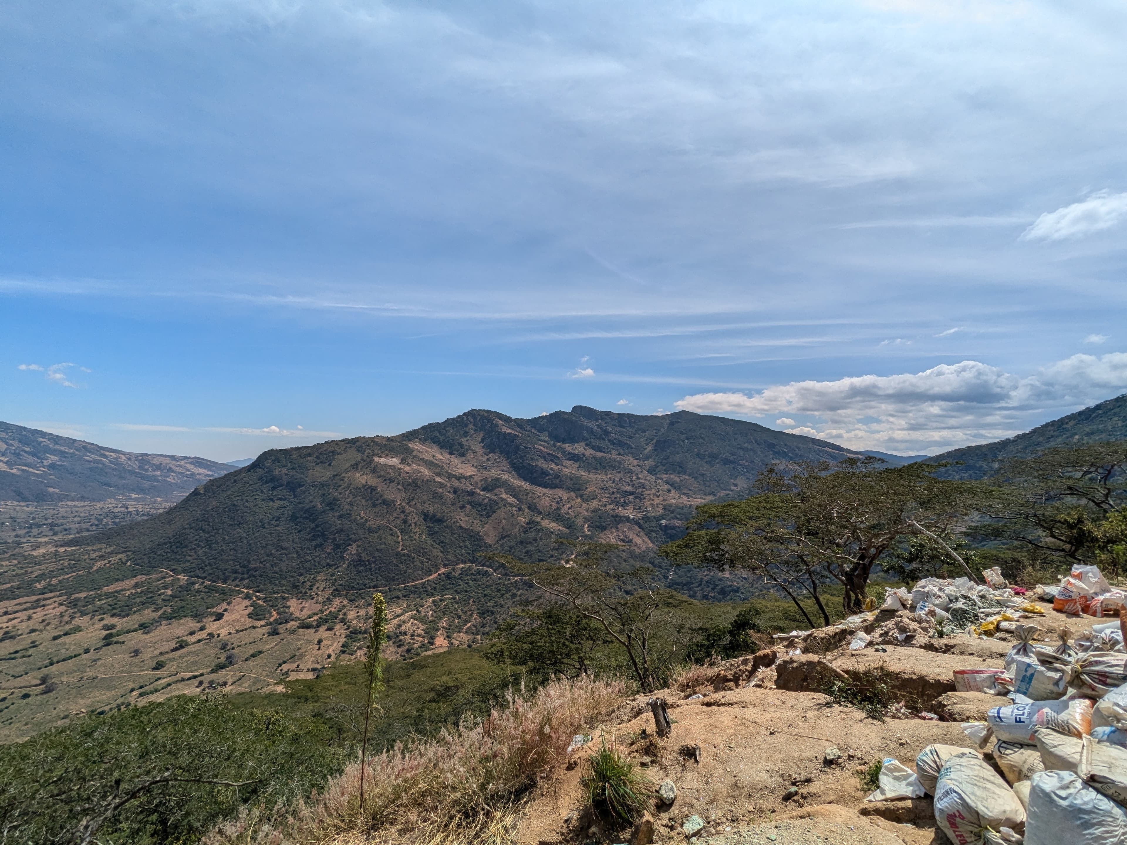 Environmental Restoration